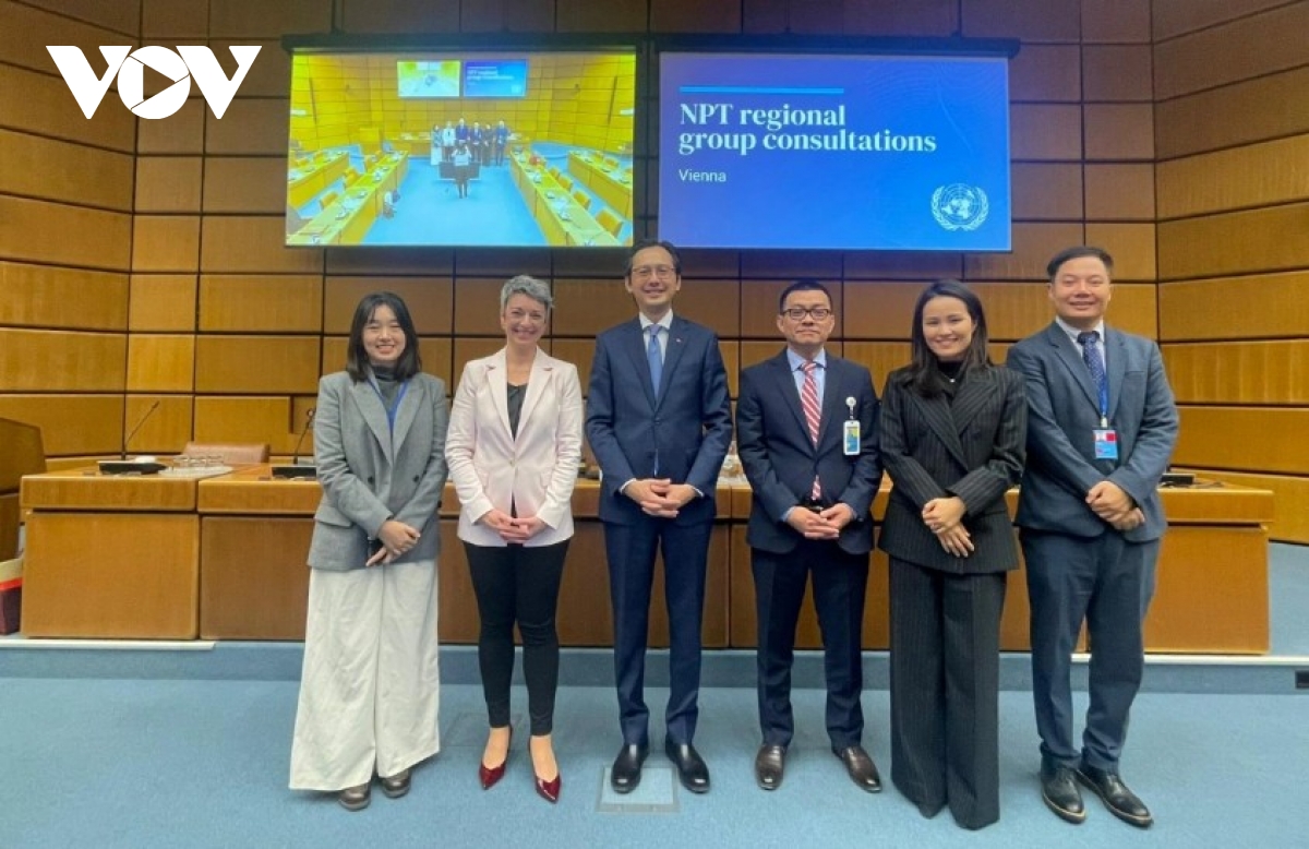 Vietnam consults on Nuclear Non Proliferation Treaty Review Conference